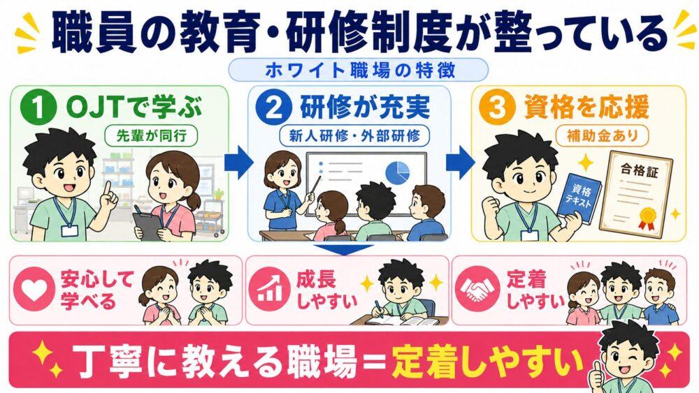 ホワイト企業は職員の教育・研修制度が整っていることを説明する画像